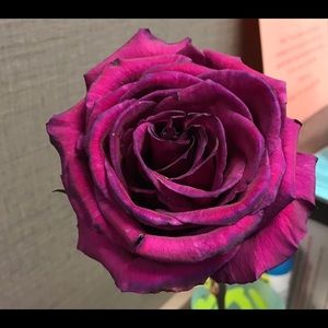 Meet your Posher, April